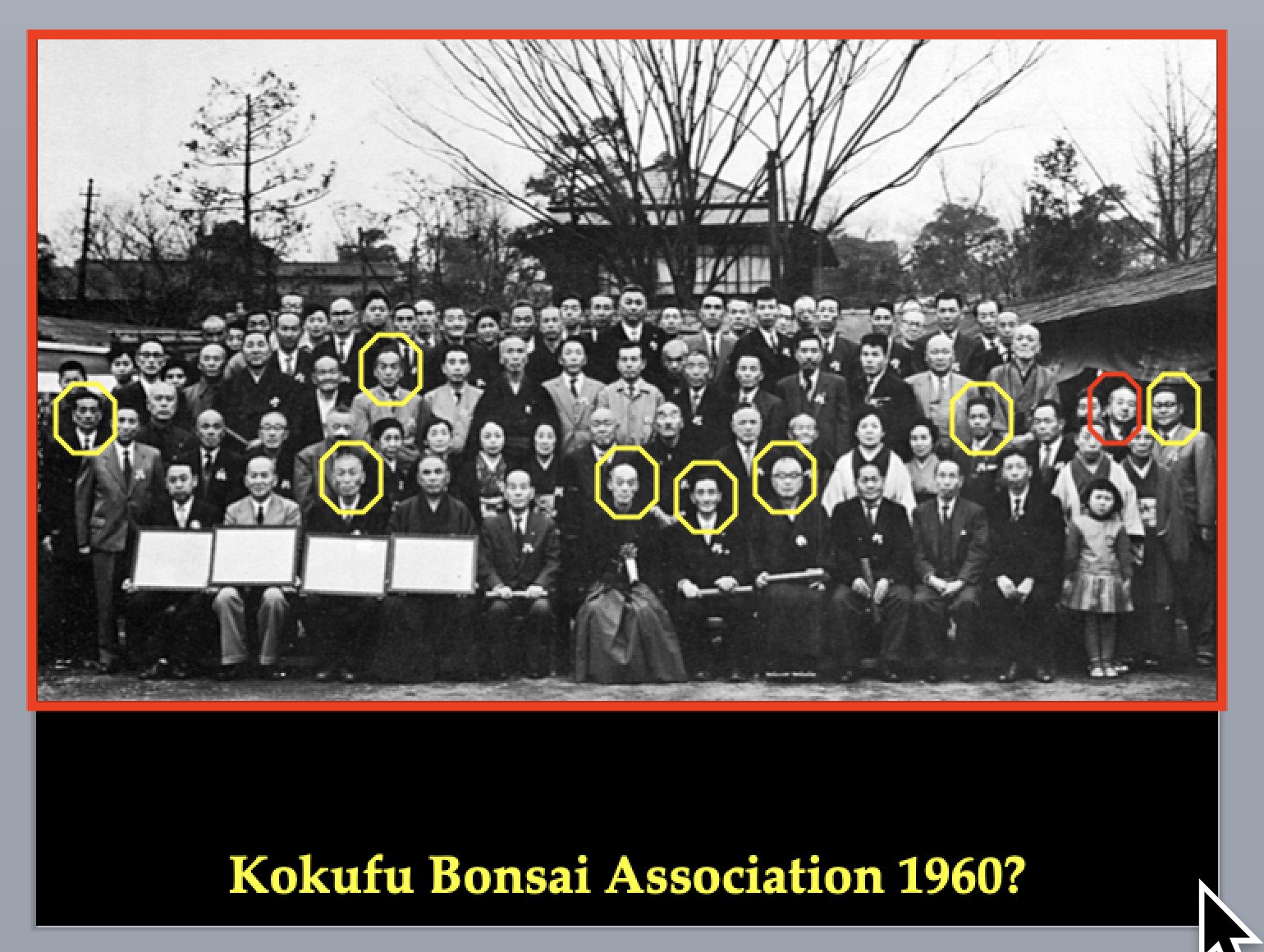 Kokufu-ten Bonsai Association , c.1960